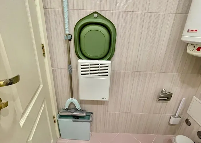 'shell' Flat In The Center *